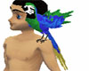animated macaw parrot