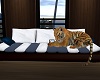 live-Tiger Sofa (f)