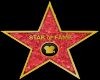 Walk of Fame Star