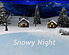 ~ Snowy Night ~