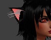 Wild Thing Ears
