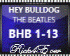 HEY BULLDOG