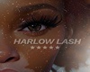 harlow lash