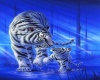 White Tiger and Cub