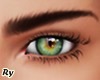 Olive Eyes M