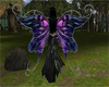 Purple Fairy Wing