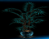 Teal plant