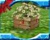 Garden Flower Box