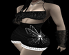 Papilio 4