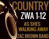 AS SHES WALKING AWAY ZBB