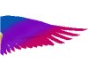 Colored Wings