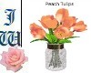 JW Peach Tulips