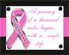 Pink Ribbon Campaign