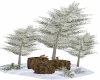 winter tree's w/squirrel