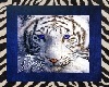 ~NM~ white tiger rug