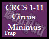 Circus Minimus