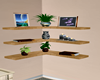 Loft ~ N  Shelf
