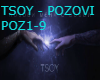 TSOY POZOVI