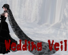 +Long Wedding Veil