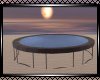 **Beautiful Trampoline