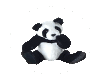 Panda Stuffy Bubbles