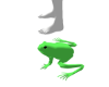 Coqui Pet