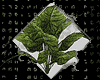 ♆ | leafy plant