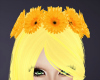 S| Sunflower Crown
