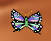 Butterfly on Chest