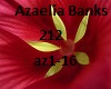 Music Azaelia Banks 212