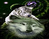 tiger and wolf