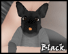BLACK puppy