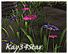 Hideaway Lovely Flowers
