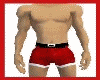 sexy santa shorts 2