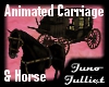 Carriage & Black Horse
