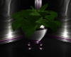 Silver Potted Plant 1