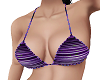 Beach Purple Bikini