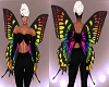 colorful butterfly wings