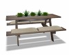 Picnic Bench / Plants