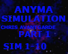 ANYMA SIMULATION /PART 1