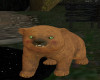 Bear cub brown/green eye