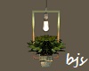 Light Fixture with Plant