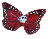 red skull butterfly