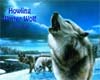 Howling Winter Wolf