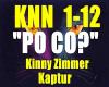 Po co? - Kinny Zimmer.