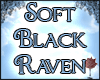 Soft Black Raven (NP)