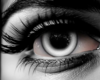 *D* Dark Moon F