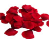 (xlealoox)R rose petals