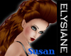{E} Steam Ginger Susan
