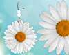 Daisy Spring Earrings